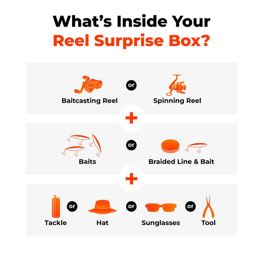 KastKing Reel Surprise Box