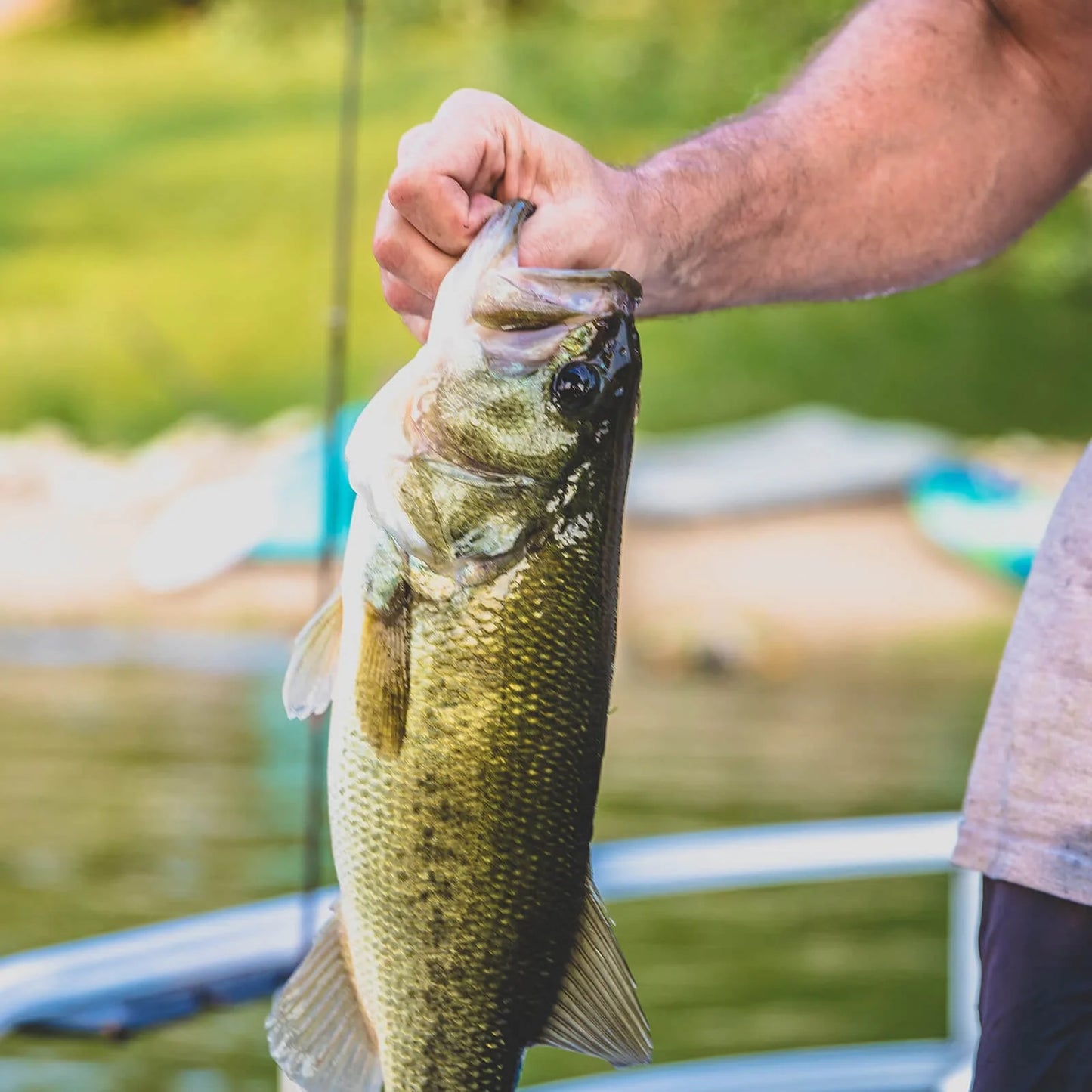 MadBite 24 Pcs Ned Rig Jig Hook Kits