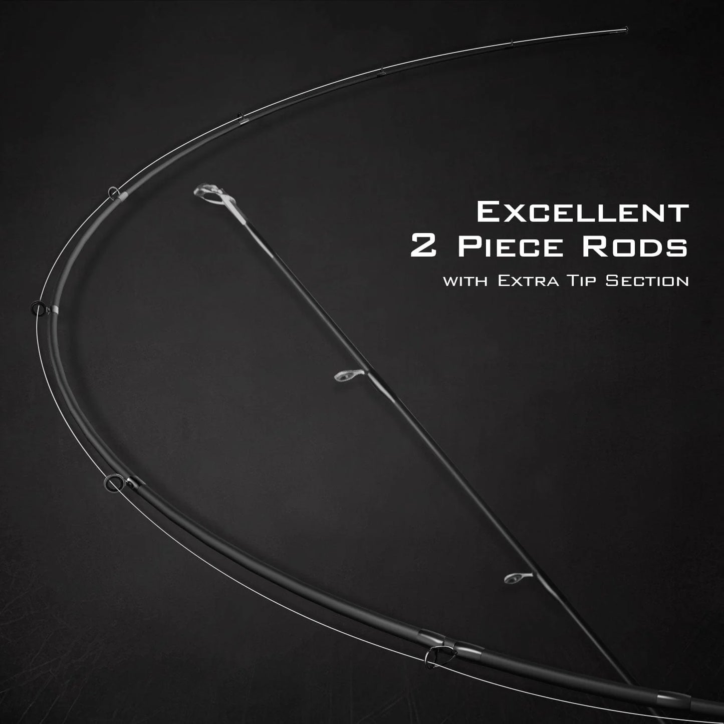 KastKing Royale Advantage Twin Tip Fishing Rods