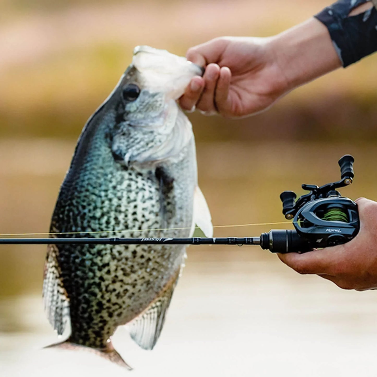 KastKing Kestrel Finesse Casting Rod