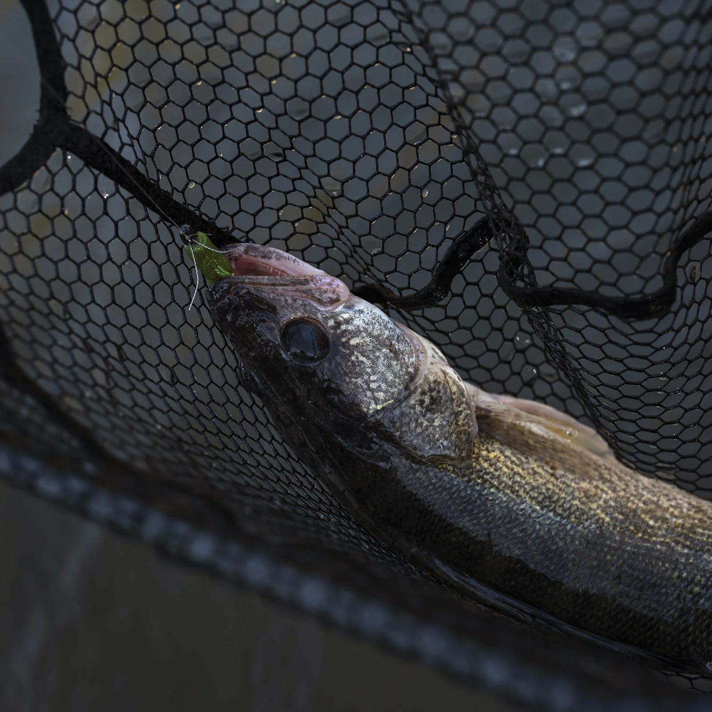 KastKing Brutus Foldable Extendable Fishing Net With Boat Hook